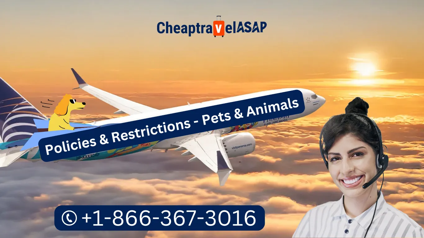 Restrictions in Flights for Pets