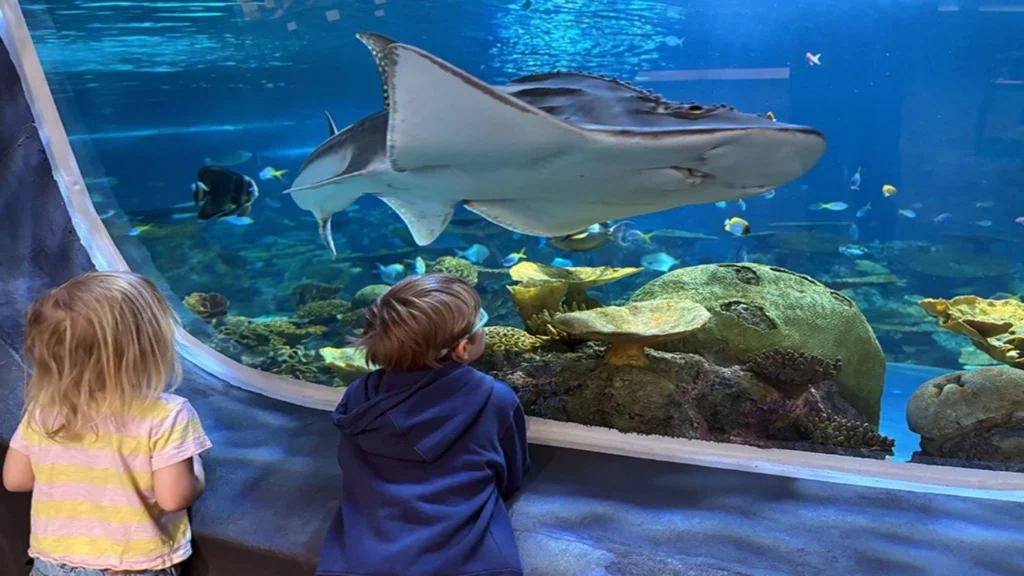 Seattle Aquarium